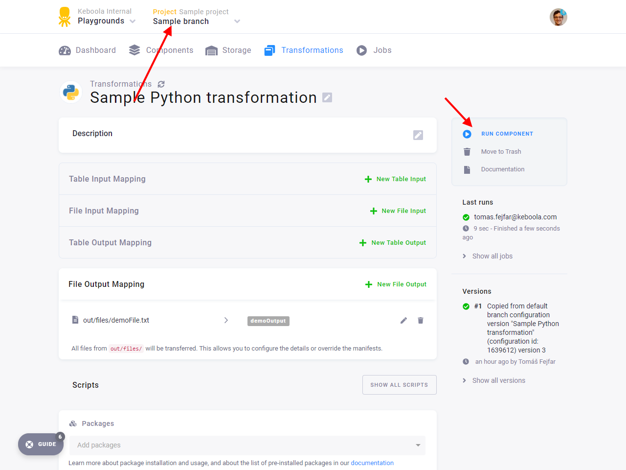 Screenshot - Run Transformation in Development Branch